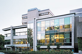 New Construction